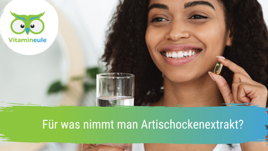 Für was nimmt man Artischockenextrakt?