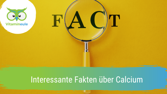 Interesting Facts About Calcium – Mach Dich Wach! GmbH