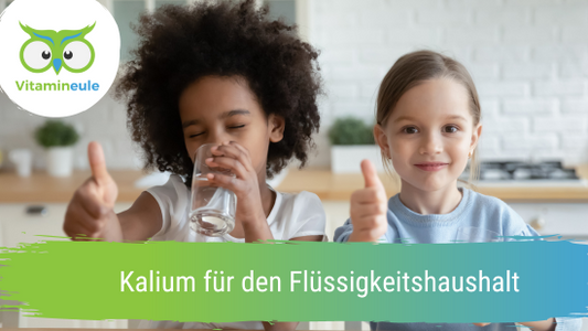 Kalium für den Flüssigkeitshaushalt