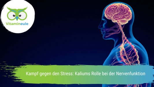 Kampf gegen den Stress: Kaliums Rolle bei der Nervenfunktion