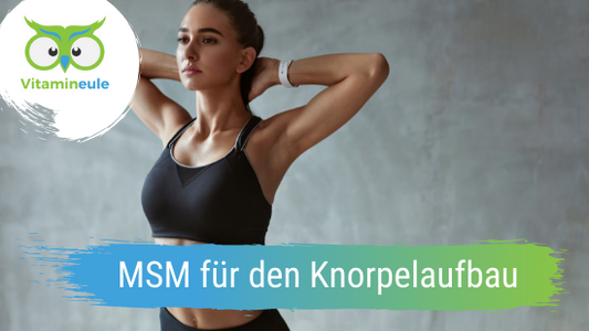 MSM für den Knorpelaufbau