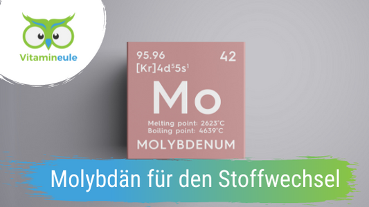 Molybdän für den Stoffwechsel