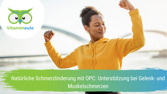 In der heutigen Zeit, in der ein steigendes Interesse an natürlichen Schmerzlinderungsmethoden besteht, rückt OPC (Oligomere Proanthocyanidine) immer mehr in den Blickpunkt.