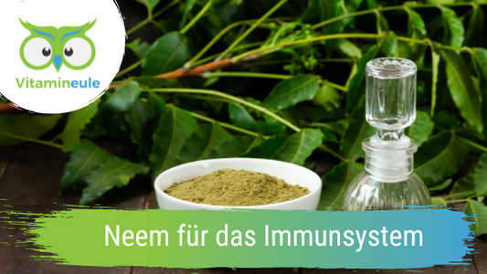 Neem für das Immunsystem