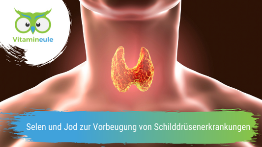 Selen und Jod zur Vorbeugung von Schilddrüsenerkrankungen