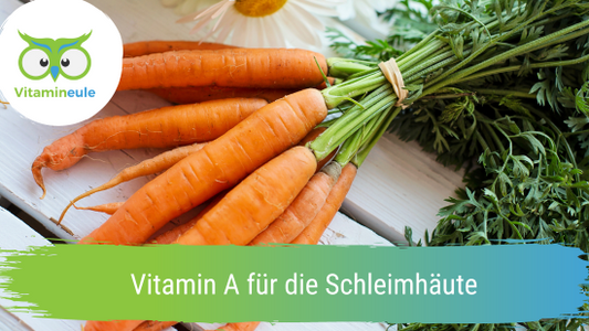 Vitamin A für die Schleimhäute