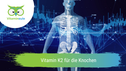 Vitamin K2 für die Knochen