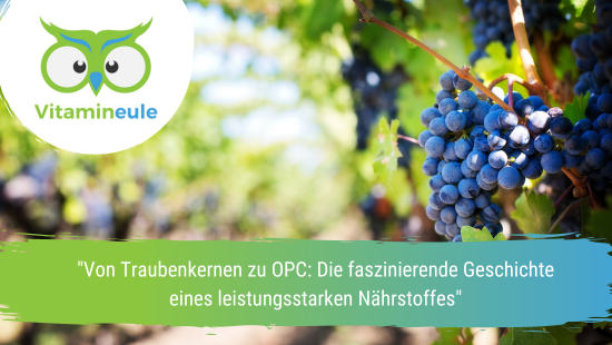 "From Grape Seeds to OPC: The Fascinating Story of a Powerful Nutrient."