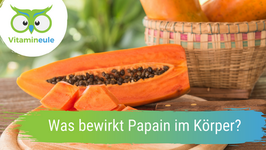 Was bewirkt Papain im Körper?