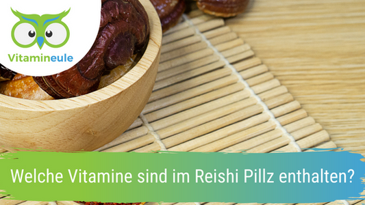 Welche Vitamine sind im Reishi Pilz enthalten?