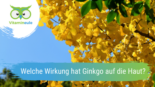 Welche Wirkung hat Ginkgo auf die Haut?