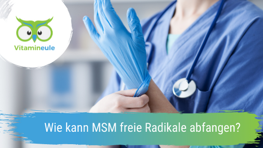 Wie kann MSM freie Radikale abfangen?