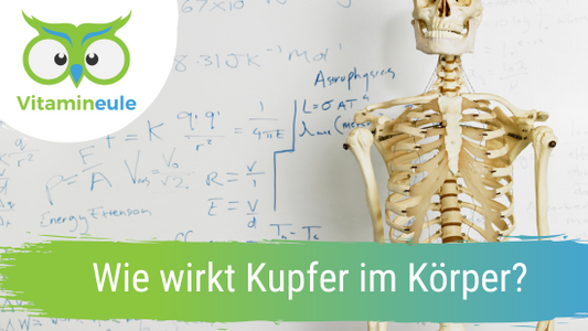 Wie wirkt Kupfer im Körper?