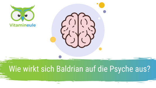 Wie wirkt sich Baldrian auf die Psyche aus?