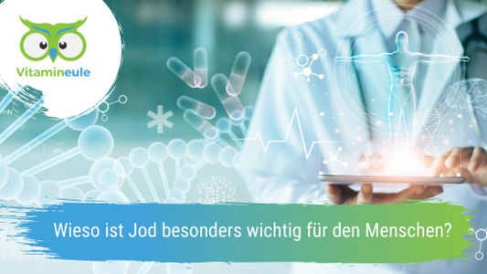 Wieso ist Jod besonders wichtig für den Menschen?