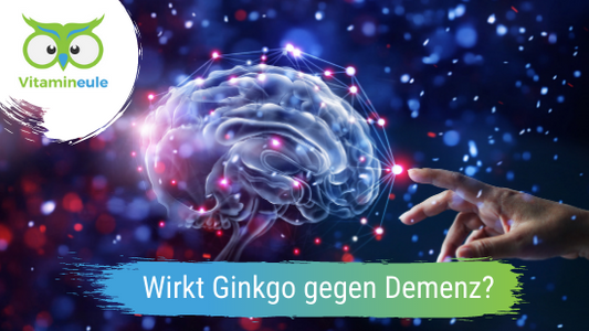 Wirkt Ginkgo Biloba gegen Demenz?