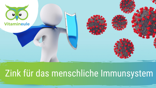 Zink für das menschliche Immunsystem