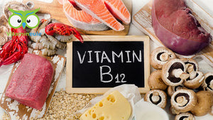 Vitamin B12 - effect, deficiency and food