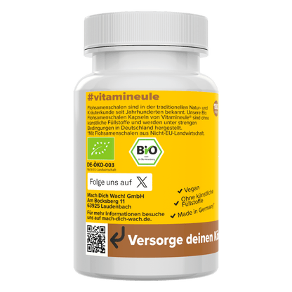 Organic psyllium husk capsules
